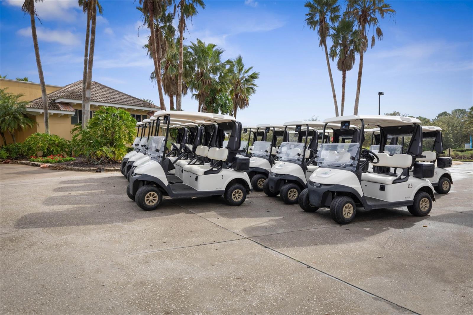 Image 91 of 98 For 35 Acclaim At Lionspaw