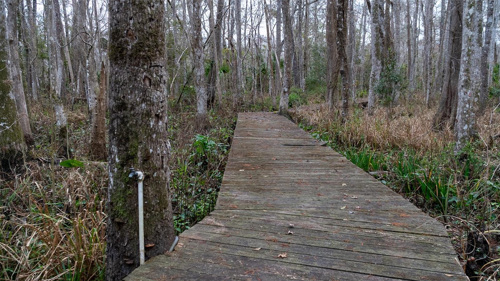 Image 10 of 31 For 155 Fran Lane