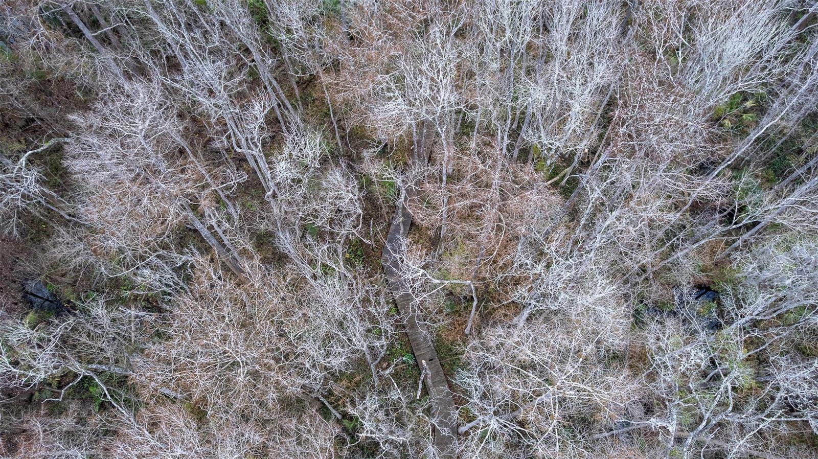 Image 24 of 31 For 155 Fran Lane