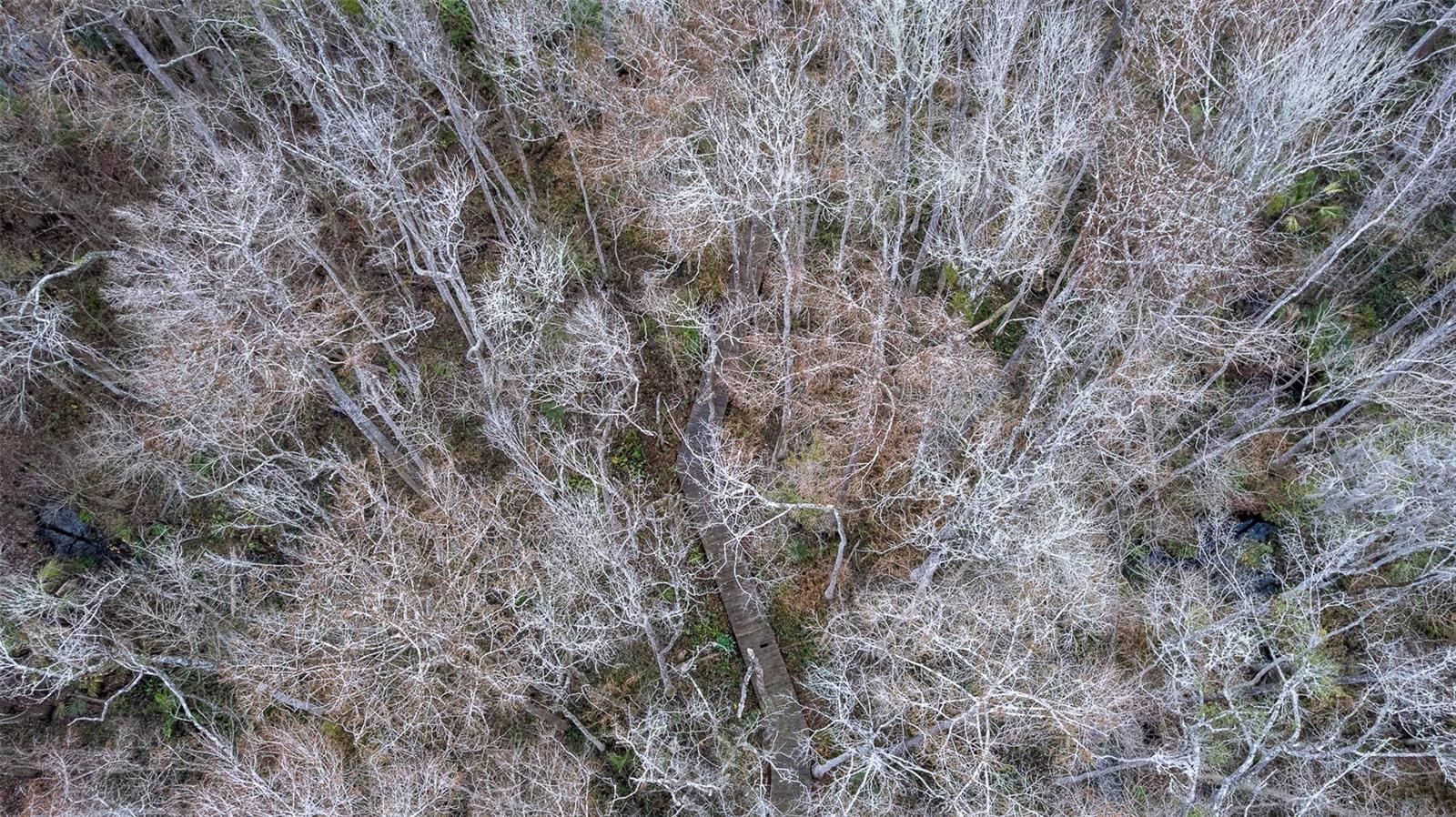 Image 26 of 31 For 155 Fran Lane