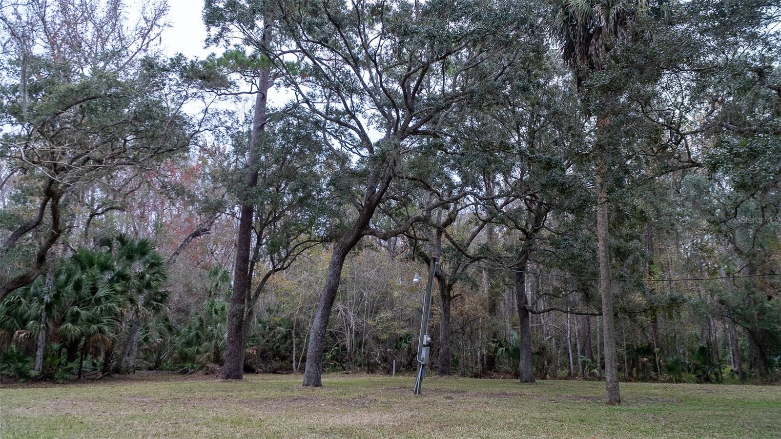 Image 7 of 31 For 155 Fran Lane