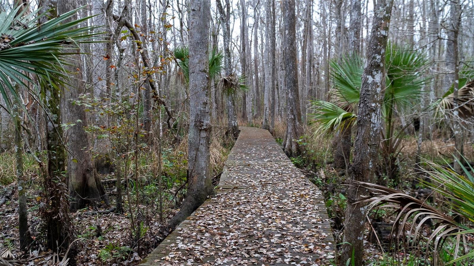 Image 9 of 31 For 155 Fran Lane