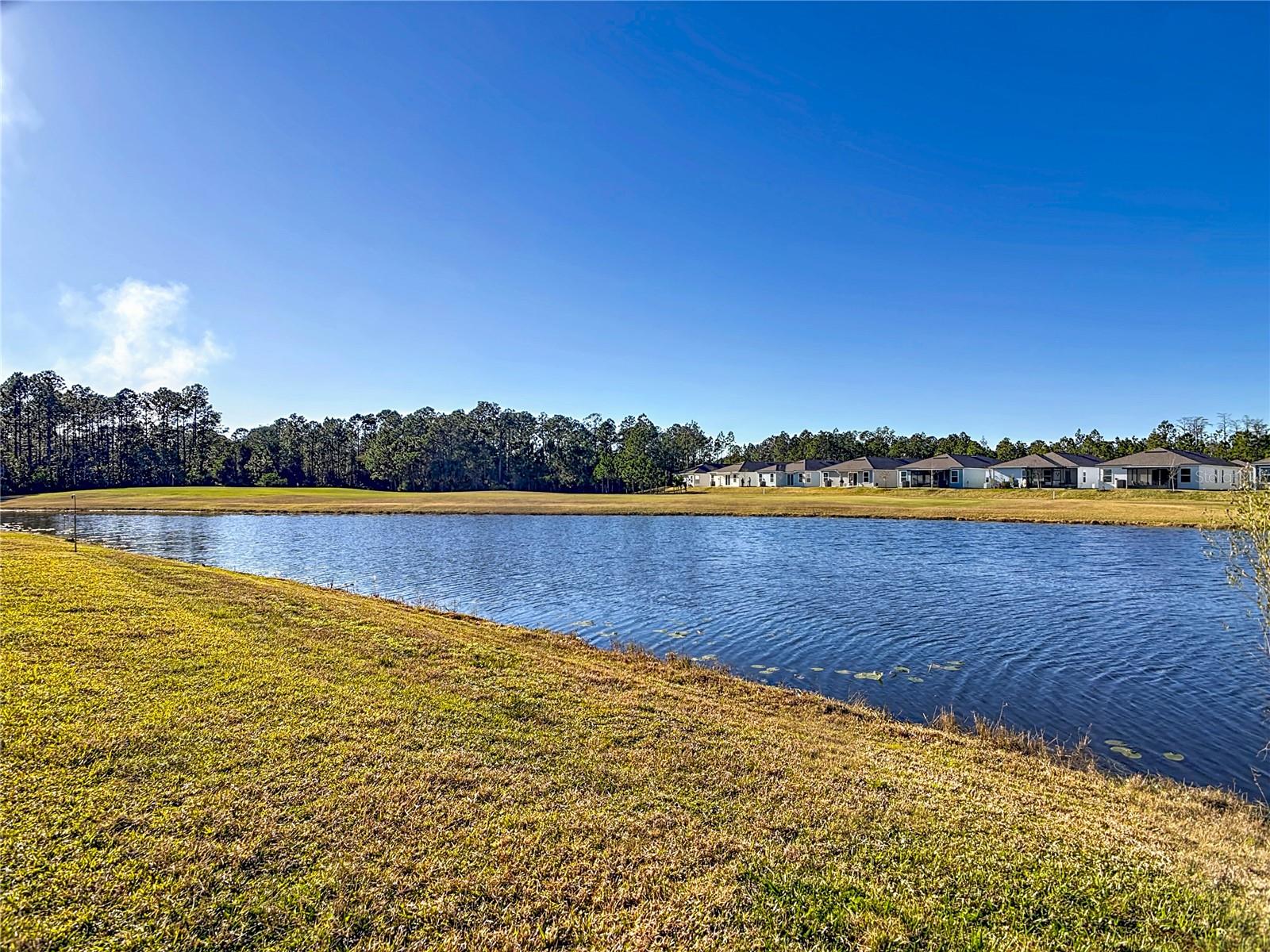 Image 43 of 55 For 64 Bogey Place