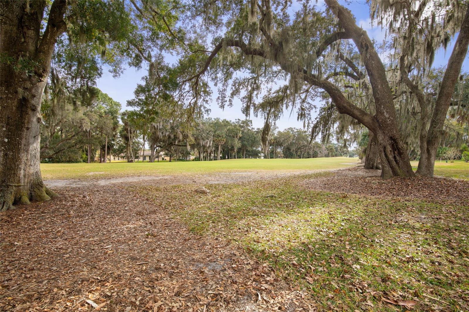 Image 36 of 82 For 8 Cole Place