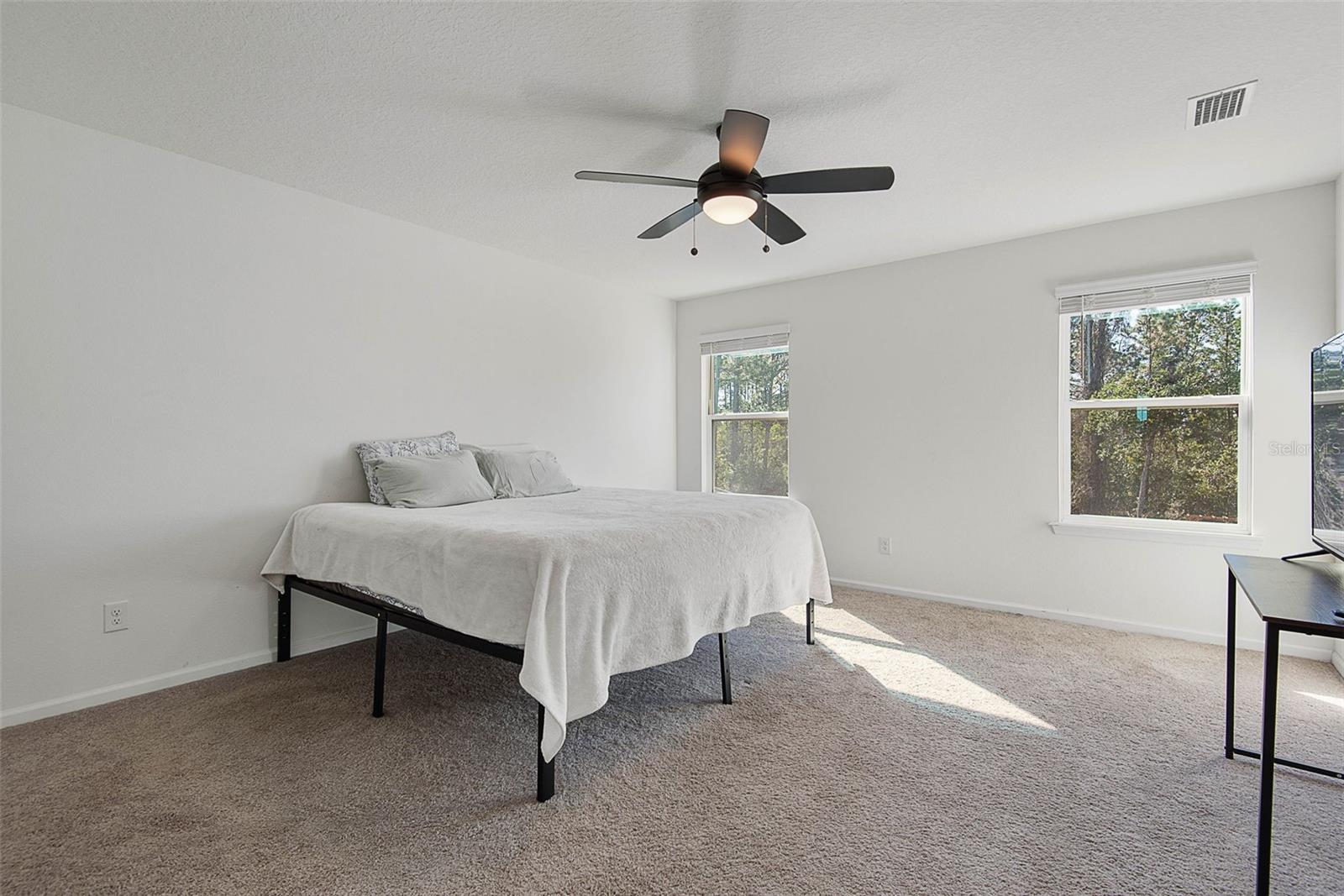 Image 18 of 53 For 43 Willow Street