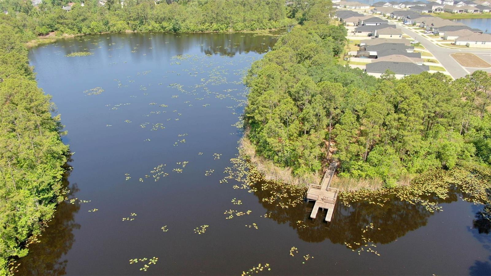 Image 49 of 53 For 43 Willow Street