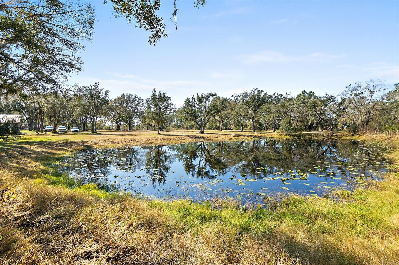 Image 44 of 48 For 998 County Road 302