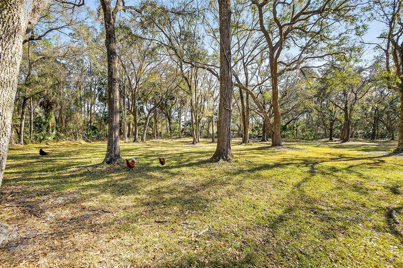 Image 46 of 48 For 998 County Road 302