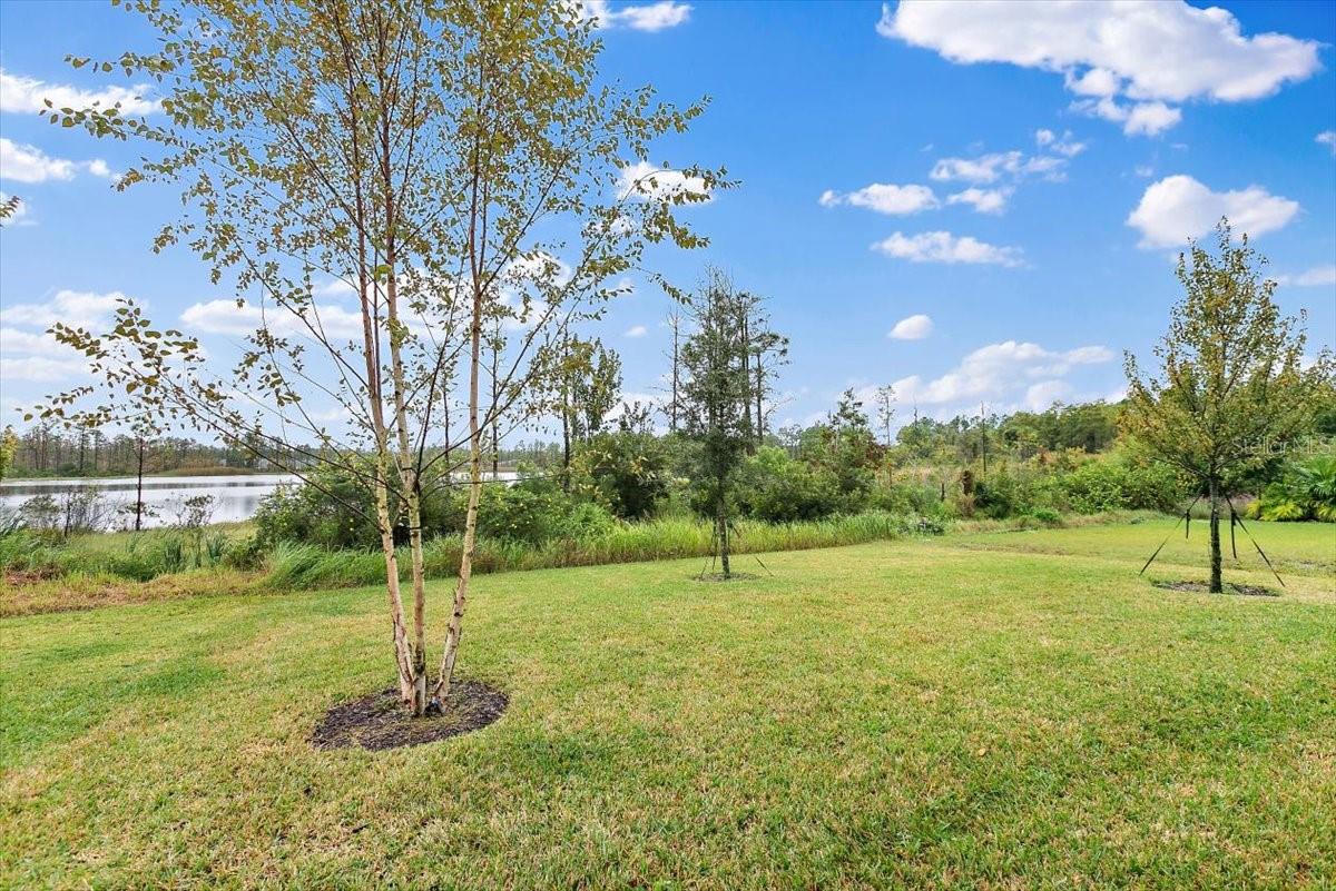 Image 29 of 30 For 21 Mahogany Way