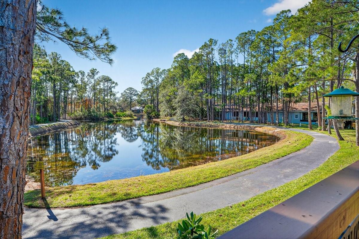 Image 5 of 58 For 33 Lakepoint Circle