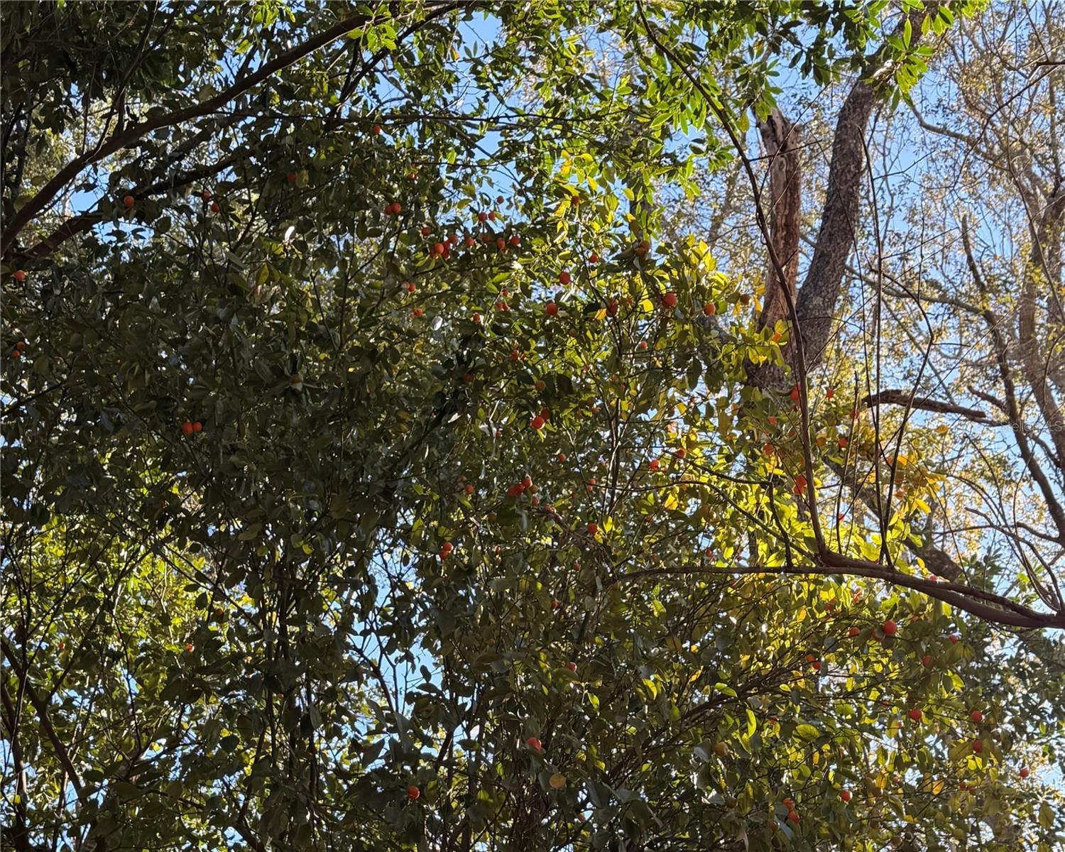 Image 42 of 42 For 3015 13th Drive