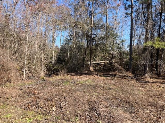 Details for 1881 Hazelnut Street, BUNNELL, FL 32110