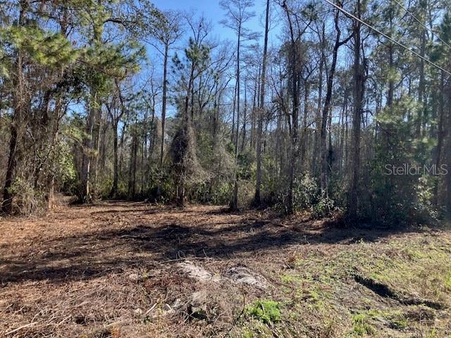 Image 2 of 6 For 1881 Hazelnut Street