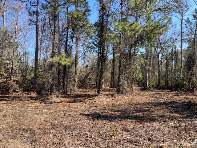 Image 3 of 6 For 1881 Hazelnut Street