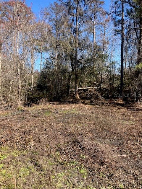 Image 4 of 6 For 1881 Hazelnut Street