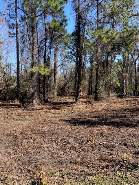 Image 5 of 6 For 1881 Hazelnut Street