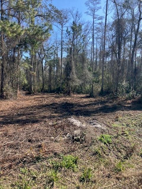 Image 6 of 6 For 1881 Hazelnut Street