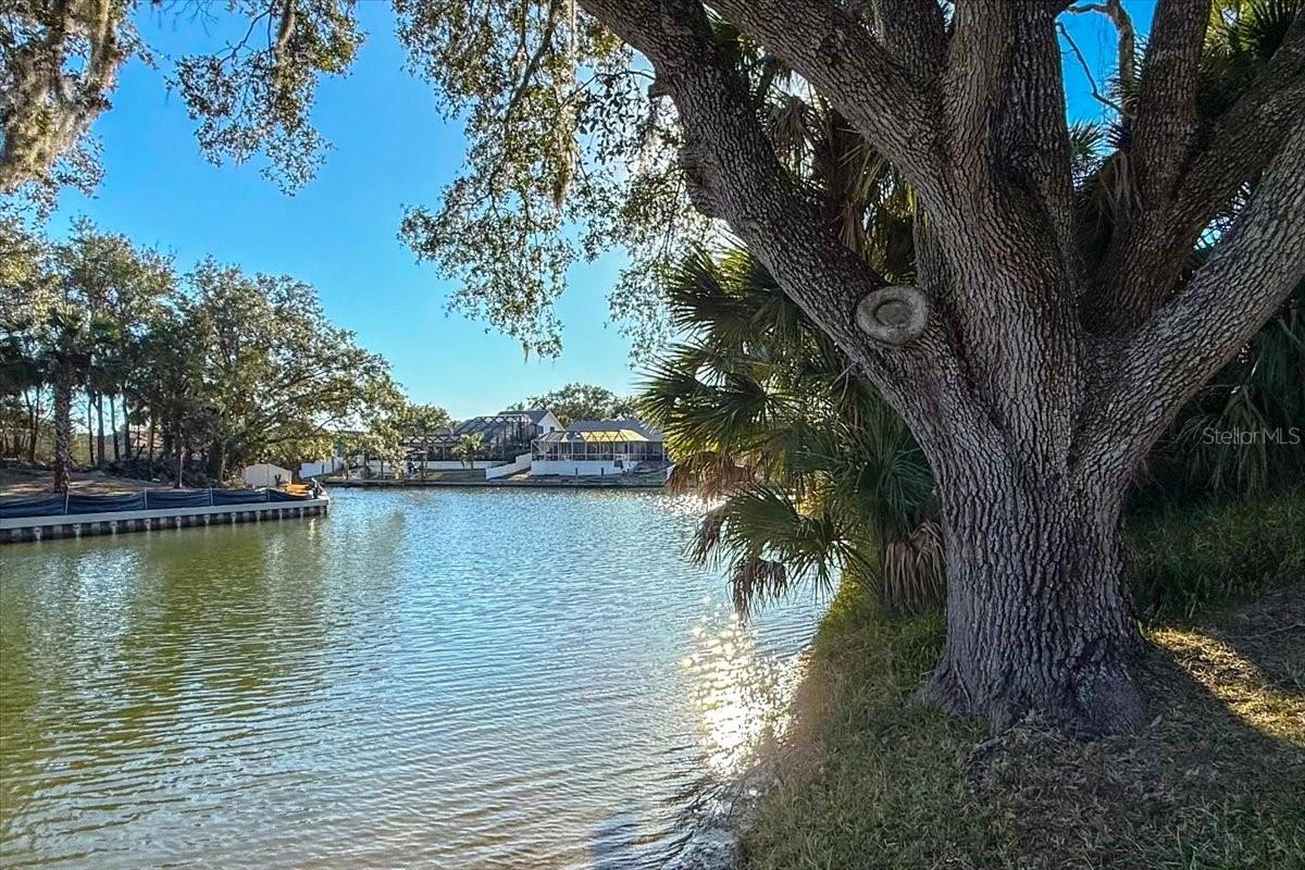 Image 2 of 12 For 87 Covington Lane