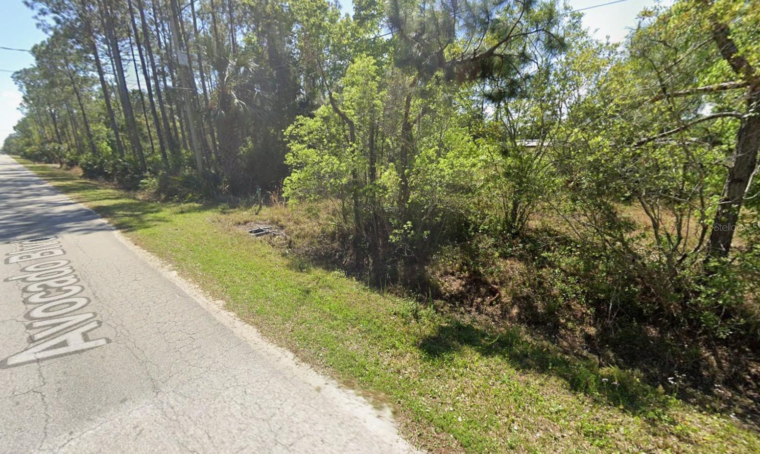 Image 6 of 8 For 1516 Avocado Boulevard