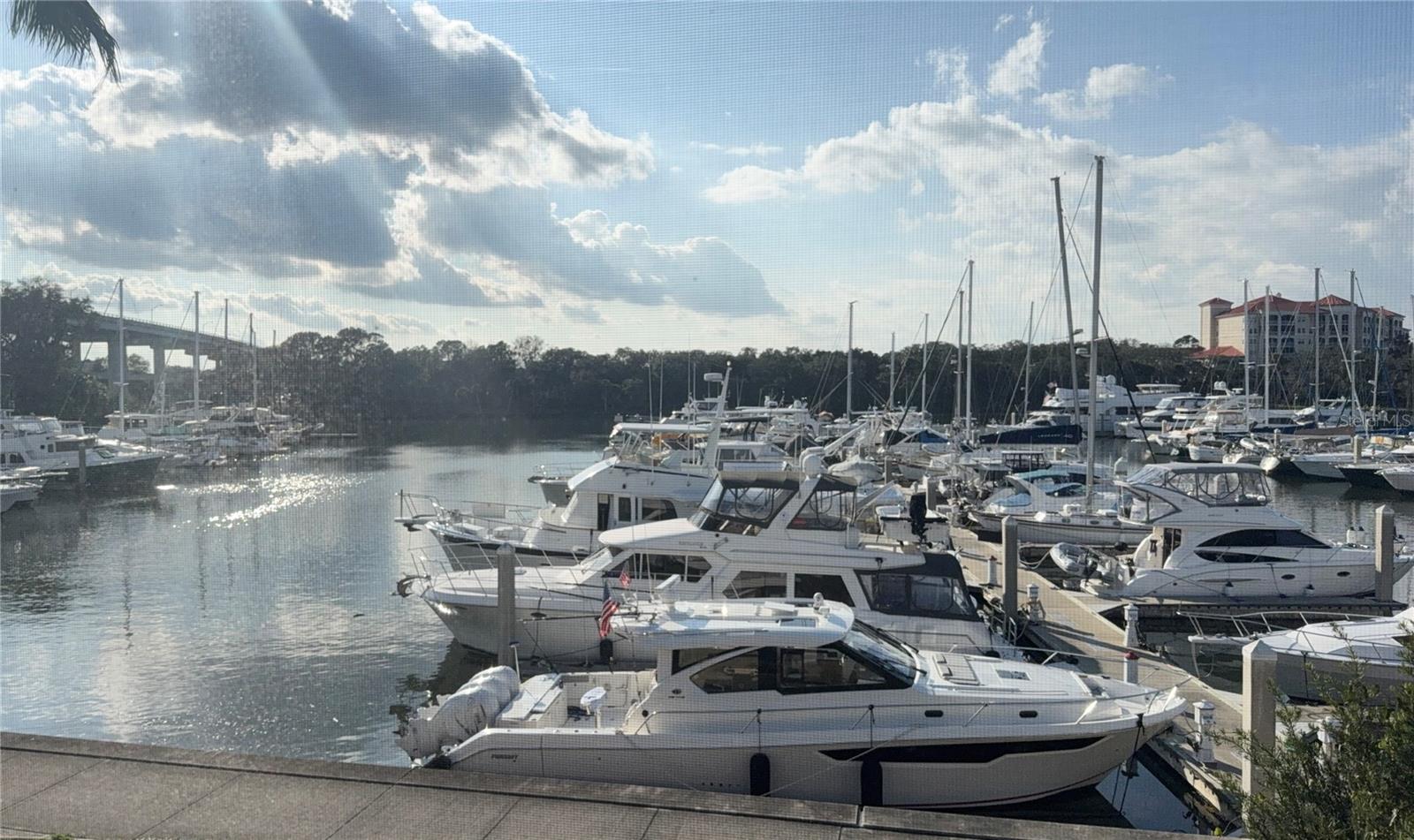 Image 2 of 30 For 142 Harbor Village Point S