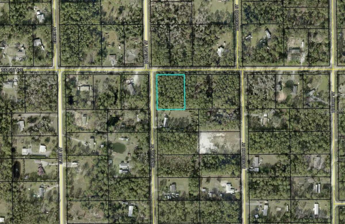 Listing Details for 4681 Walnut Avenue, BUNNELL, FL 32110