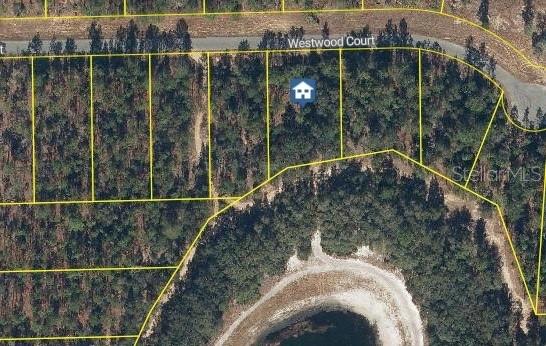 Details for 115 Westwood Court, INTERLACHEN, FL 32148