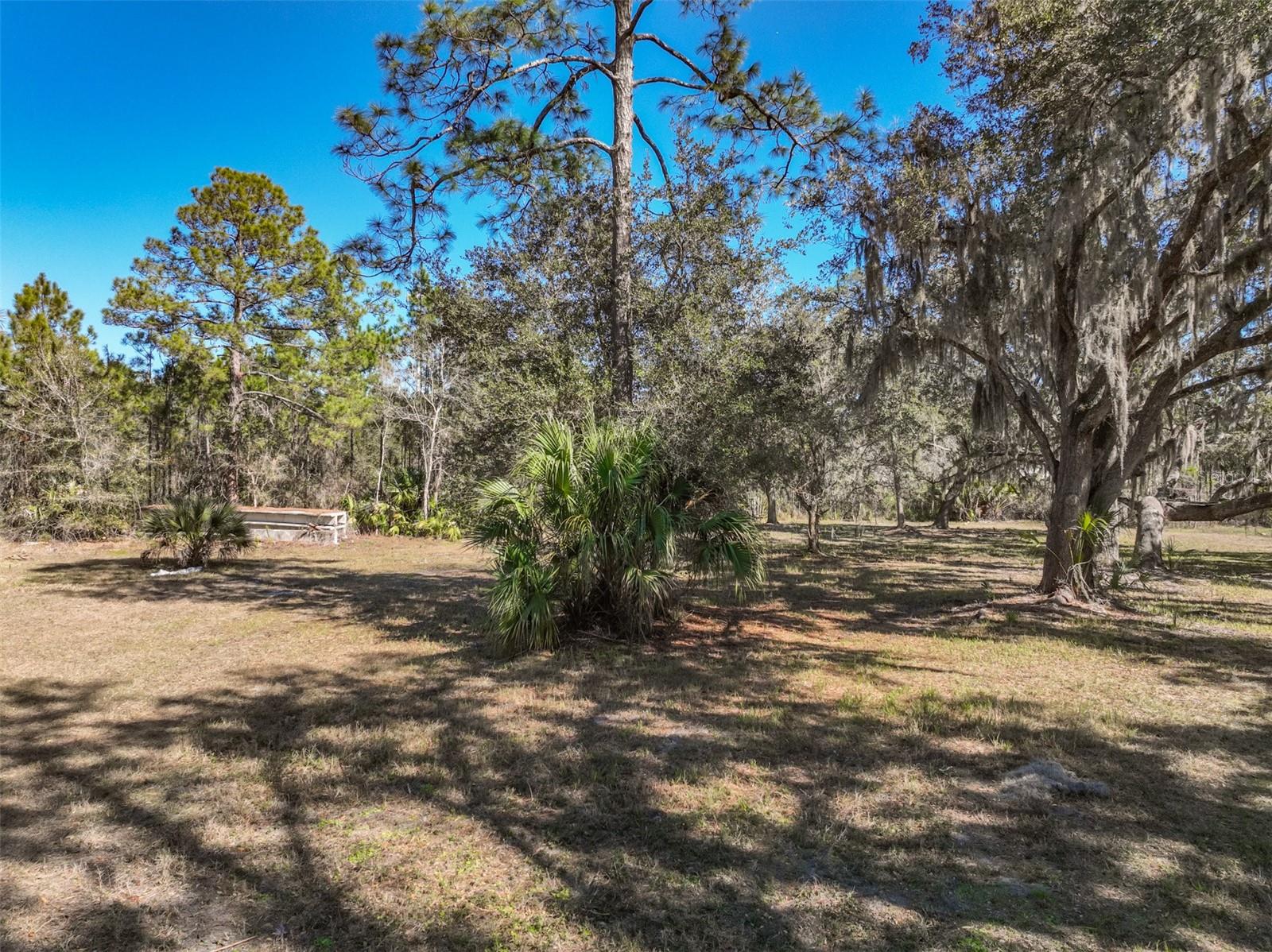 Image 6 of 11 For Xxxx Favoretta Road