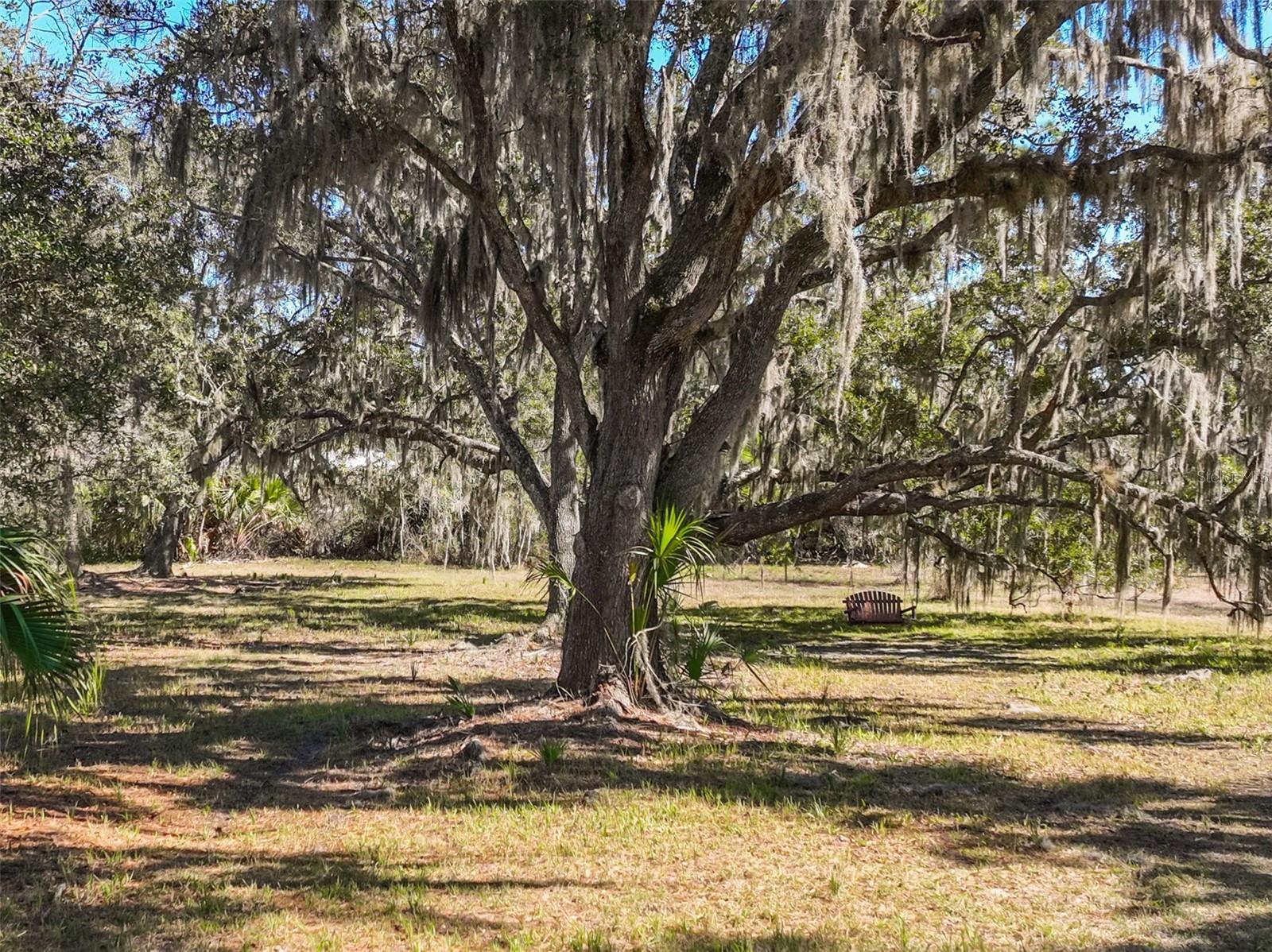 Image 7 of 11 For Xxxx Favoretta Road