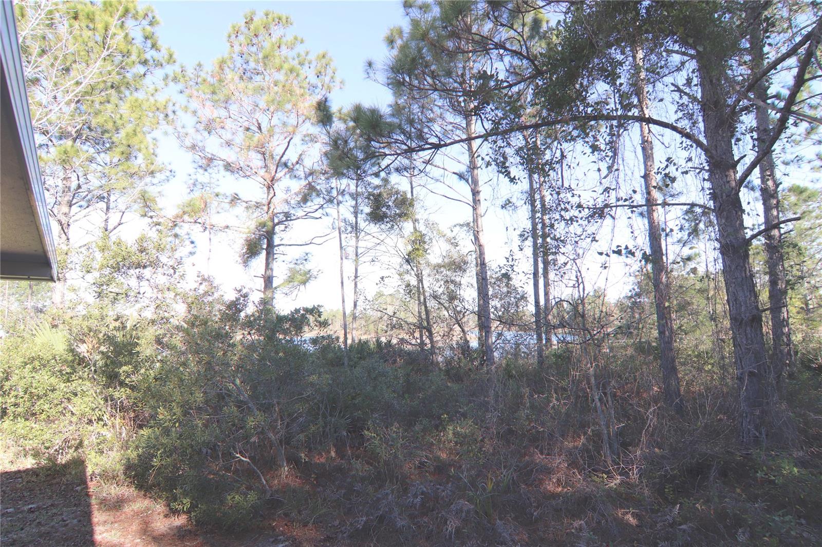 Image 18 of 20 For 11 Leaver Drive