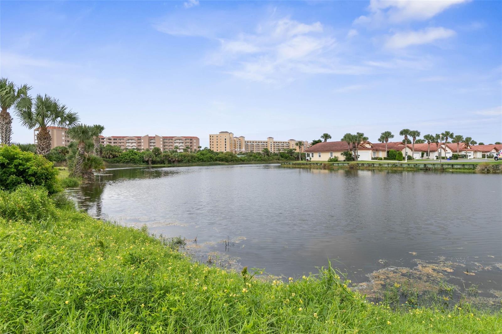 Image 48 of 75 For 13 Las Brisas Way