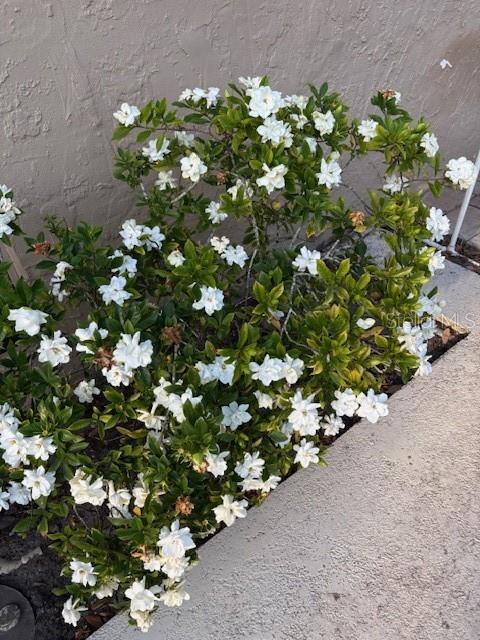 Image 43 of 81 For 20963 Colonial Drive