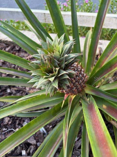 Image 45 of 81 For 20963 Colonial Drive