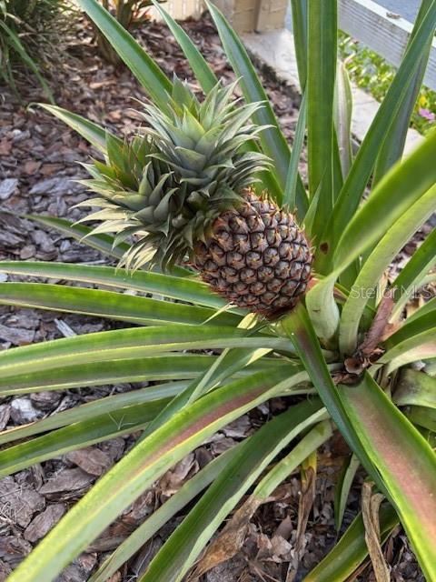 Image 47 of 81 For 20963 Colonial Drive