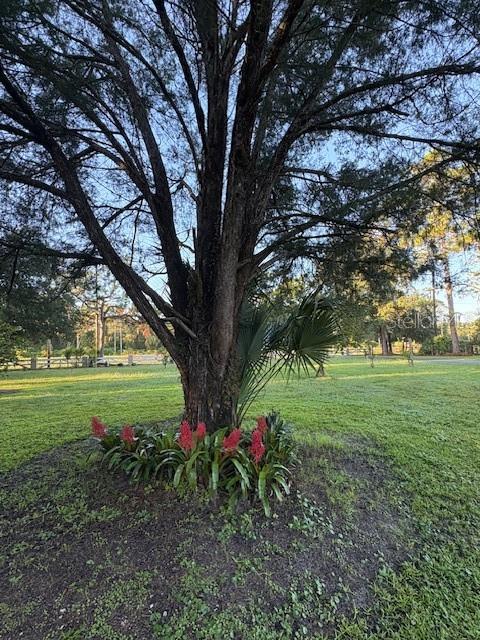 Image 48 of 81 For 20963 Colonial Drive