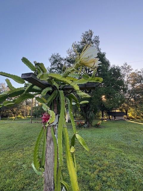 Image 49 of 81 For 20963 Colonial Drive