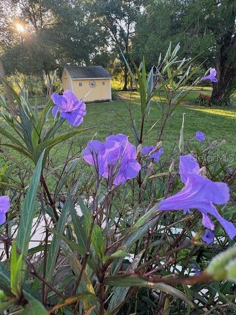 Image 53 of 81 For 20963 Colonial Drive