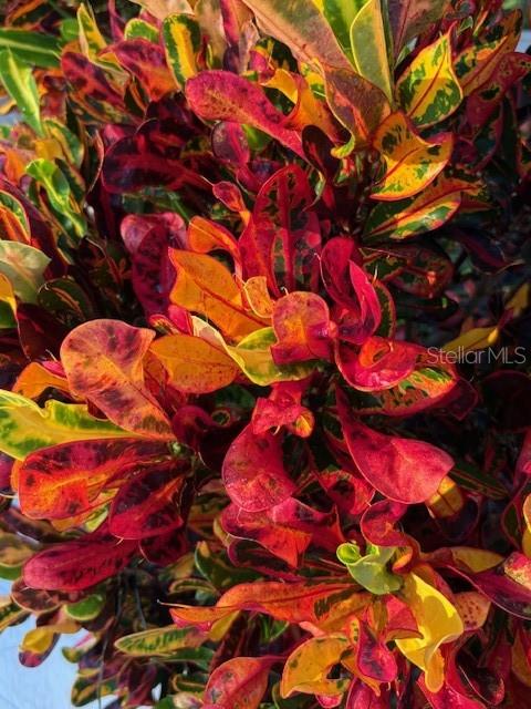 Image 56 of 81 For 20963 Colonial Drive