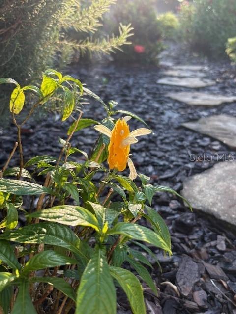 Image 57 of 81 For 20963 Colonial Drive