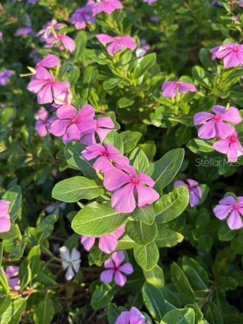 Image 58 of 81 For 20963 Colonial Drive