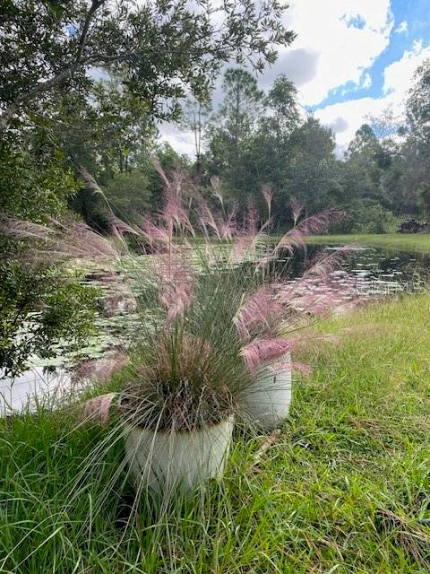 Image 72 of 81 For 20963 Colonial Drive