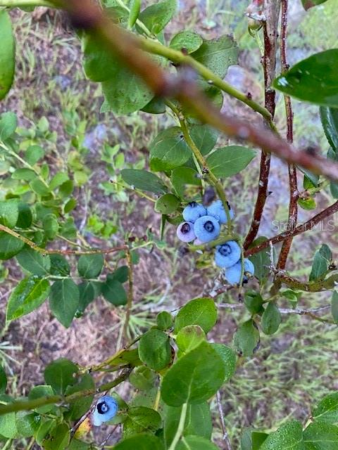 Image 75 of 81 For 20963 Colonial Drive