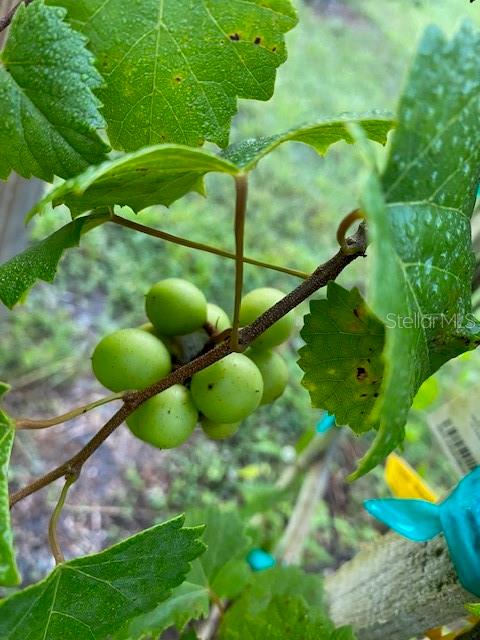 Image 76 of 81 For 20963 Colonial Drive