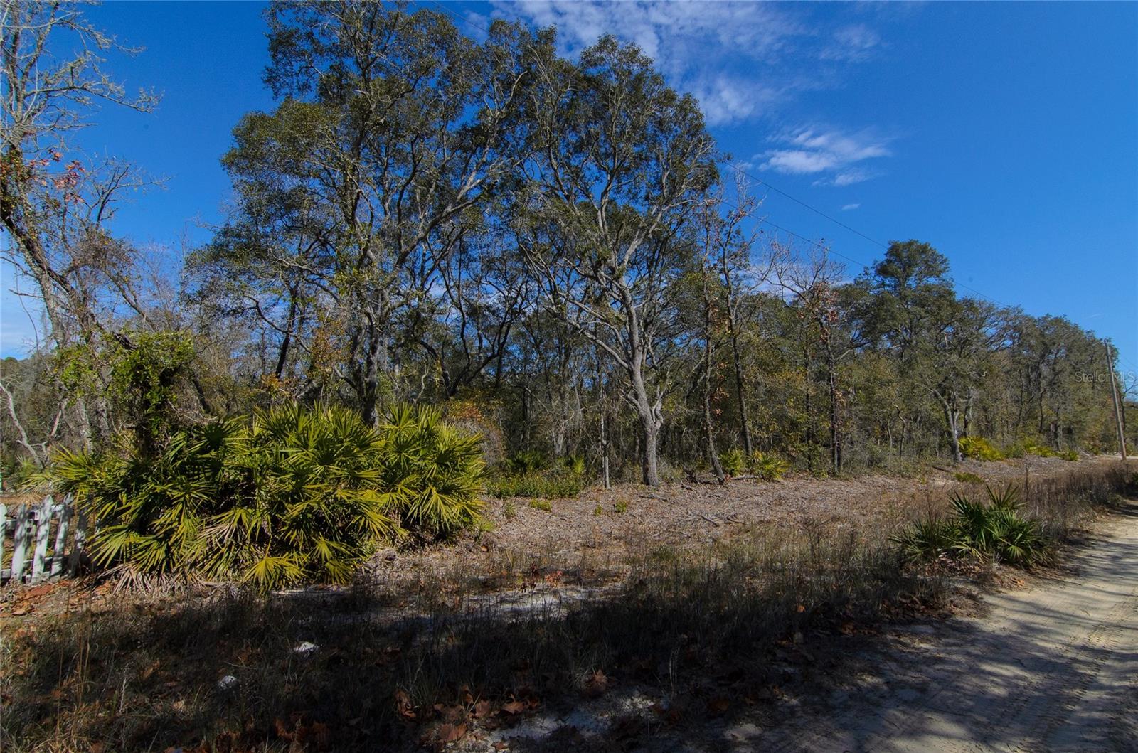 Details for 206 Tall Pine Trail, SATSUMA, FL 32189