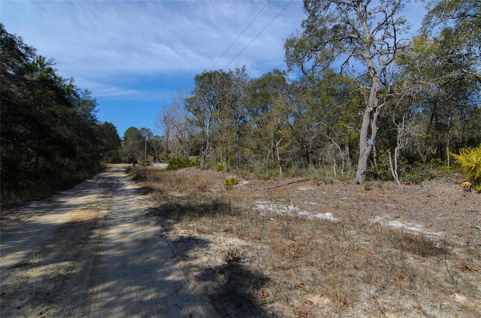 Image 4 of 6 For 206 Tall Pine Trail