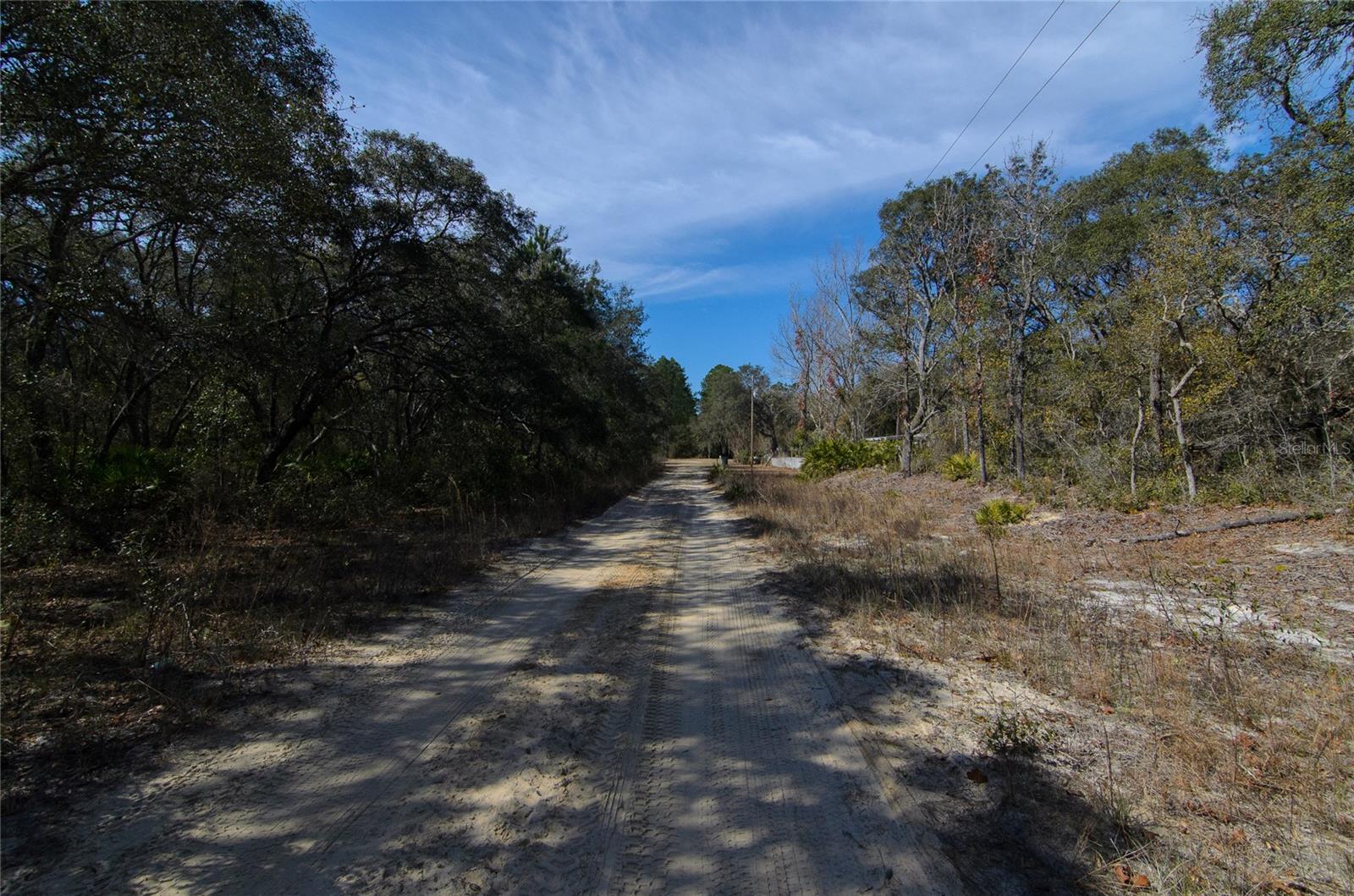 Image 5 of 6 For 206 Tall Pine Trail