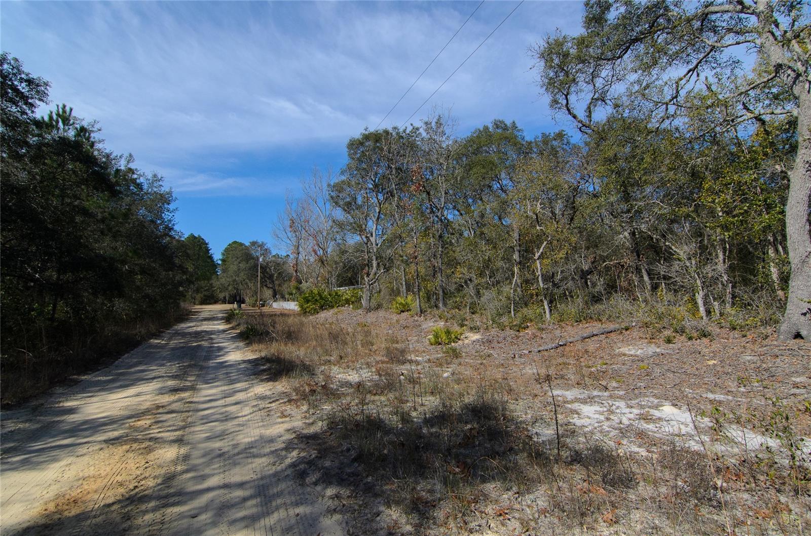 Image 6 of 6 For 206 Tall Pine Trail