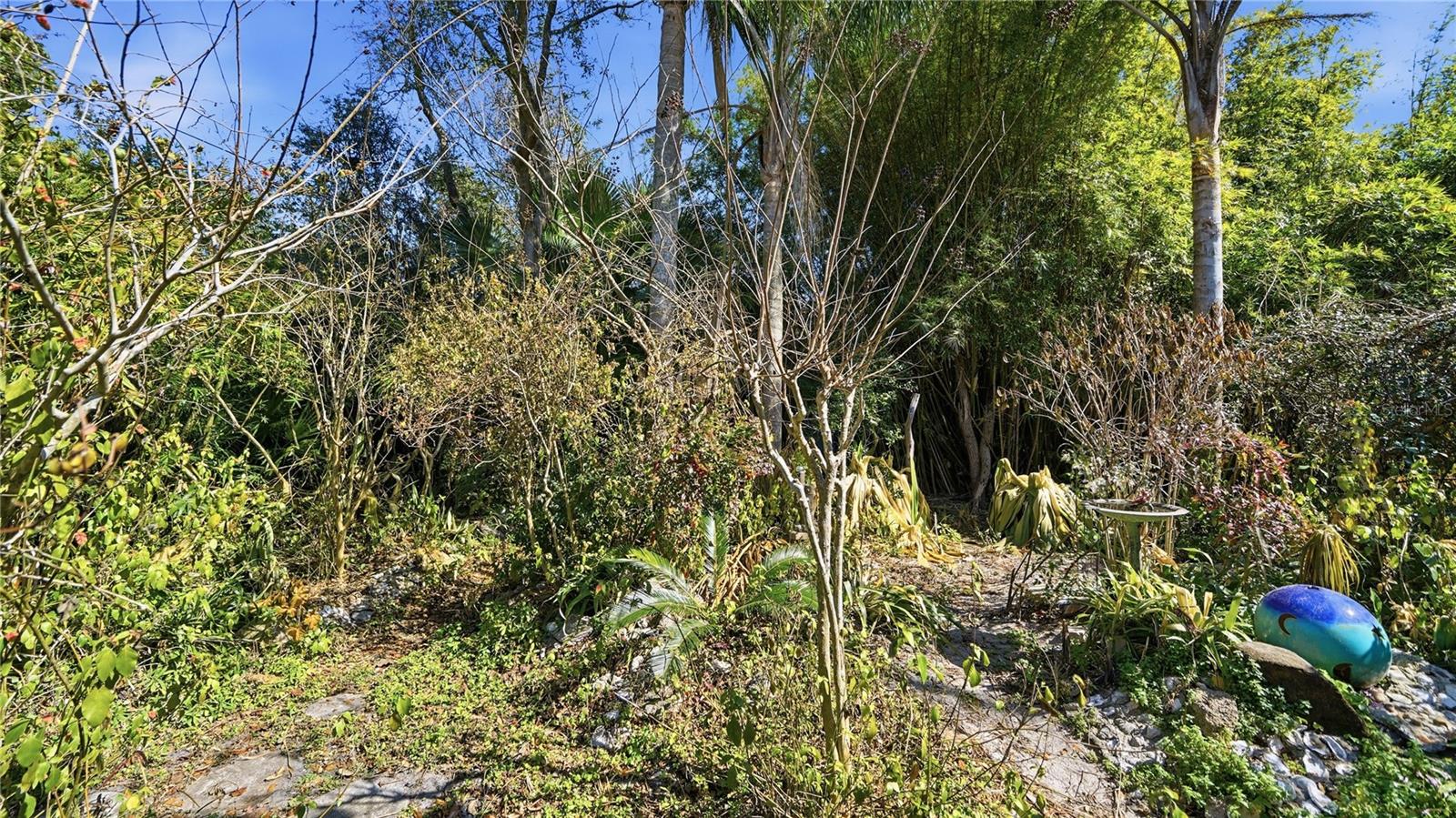 Image 37 of 50 For 350 Sunset Drive