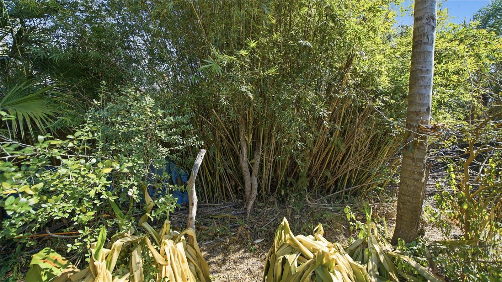 Image 38 of 50 For 350 Sunset Drive