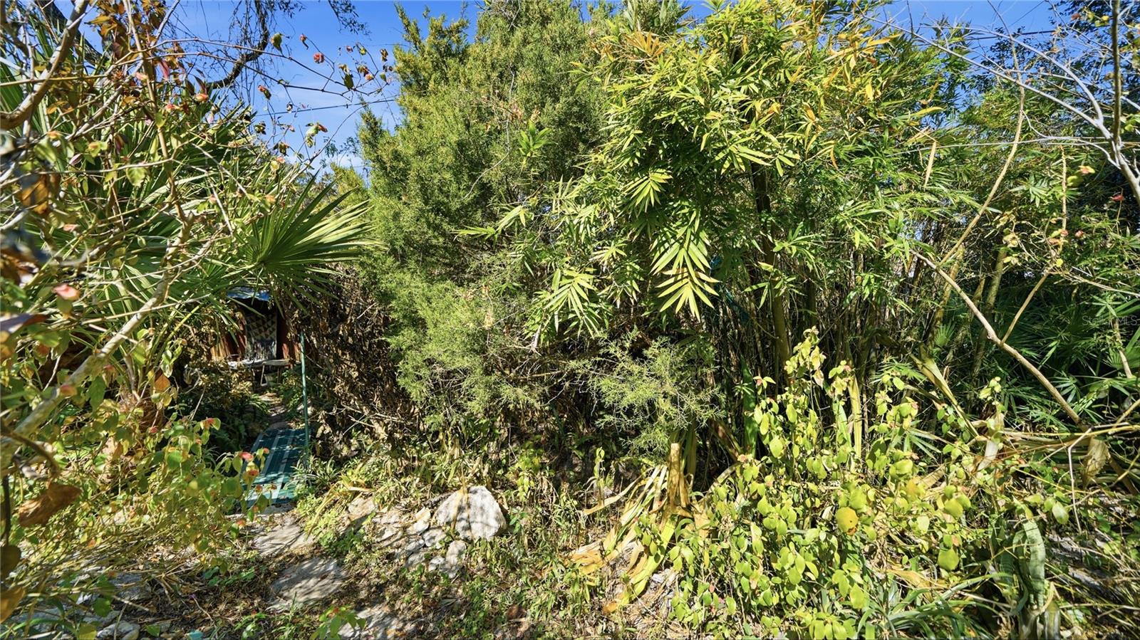 Image 39 of 50 For 350 Sunset Drive