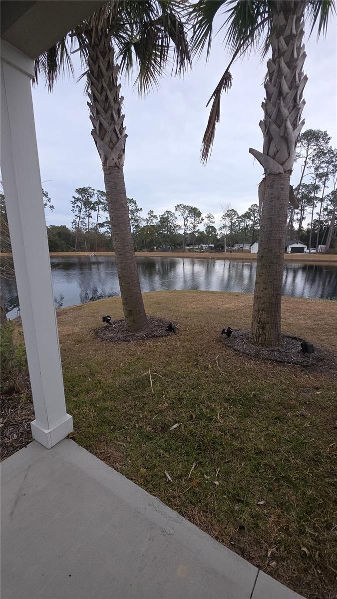 Image 29 of 33 For 56 Sage Branch Street